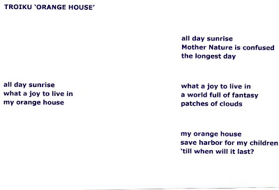 Troiku Orange House